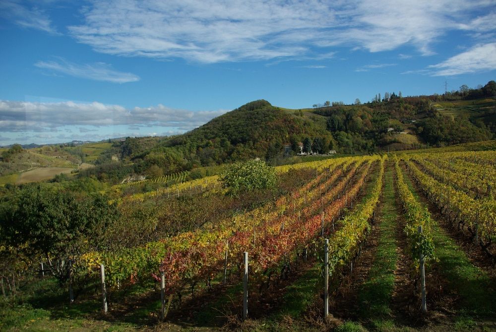 Agriturist Rupestr