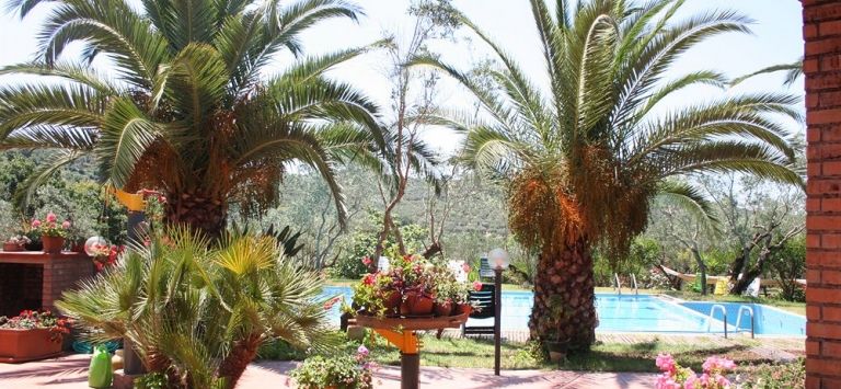 Agriturismo Costantino