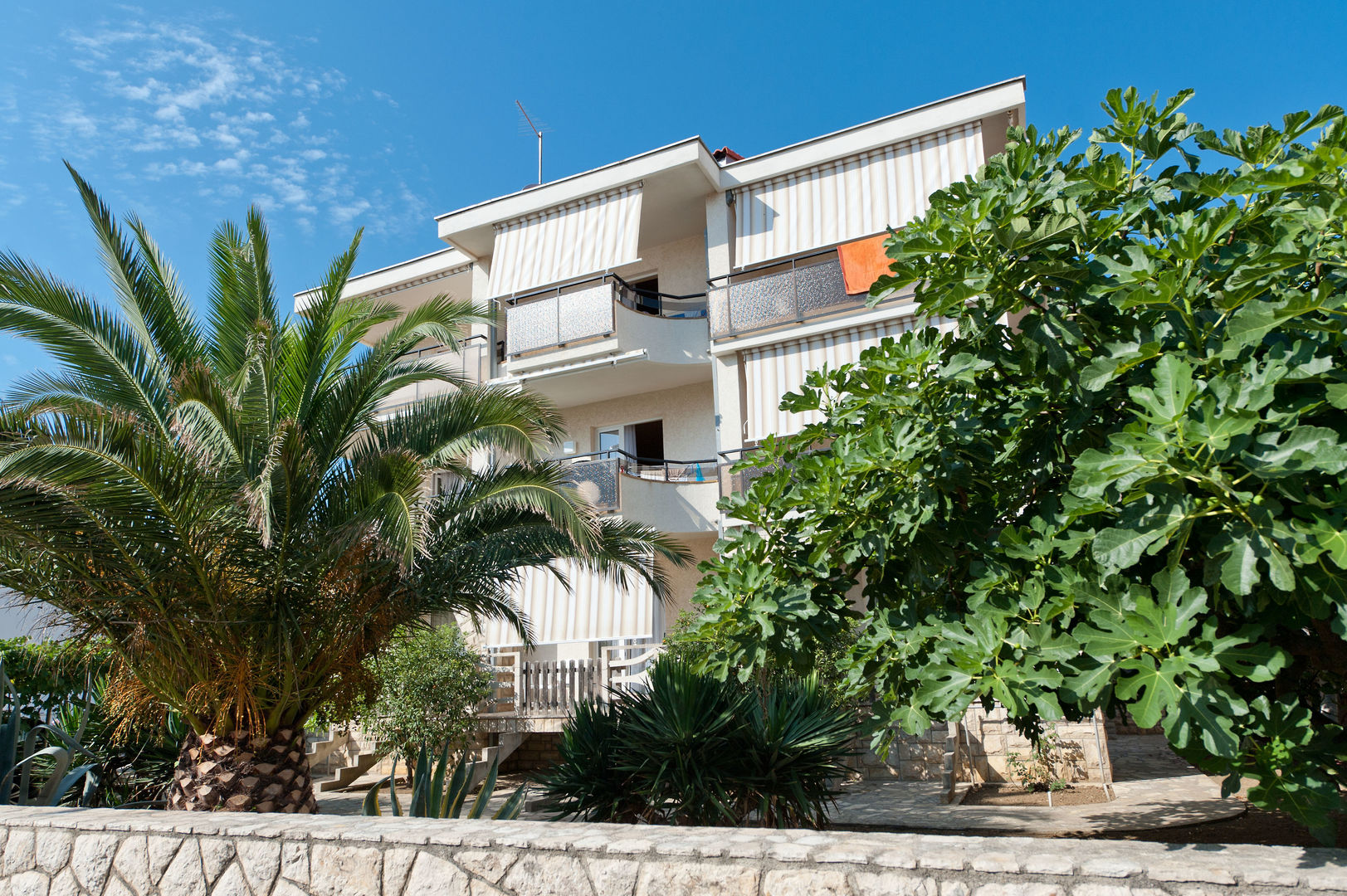 Studio Apartments Apolonia
