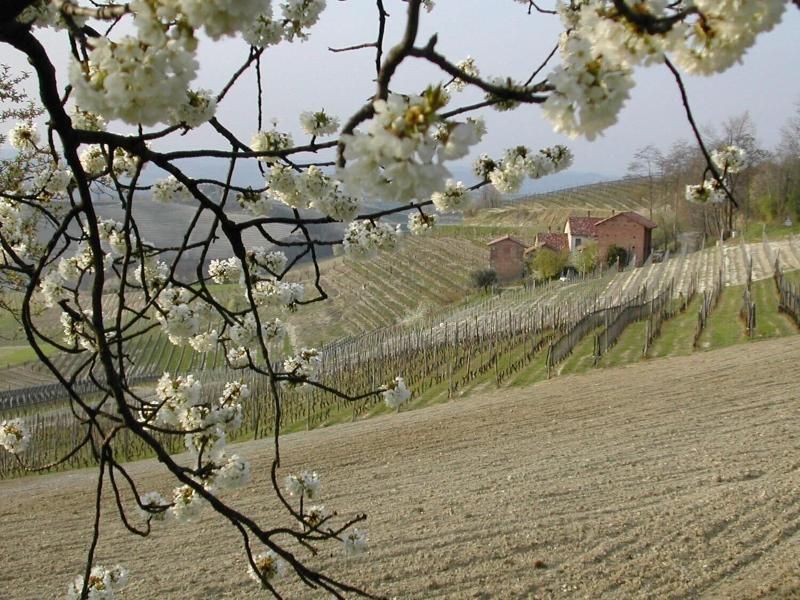 Cascina Il Ginepro
