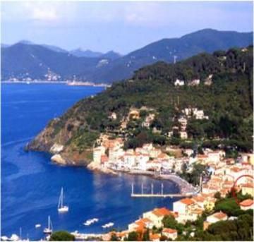 Imperia