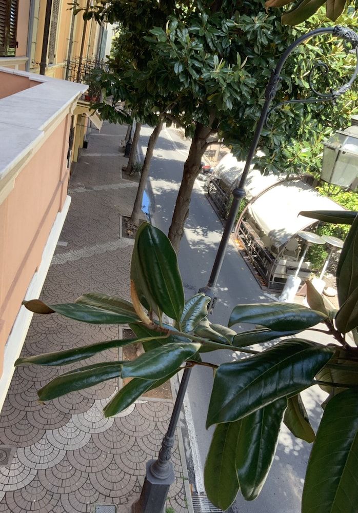 Ricaroka Hotel
