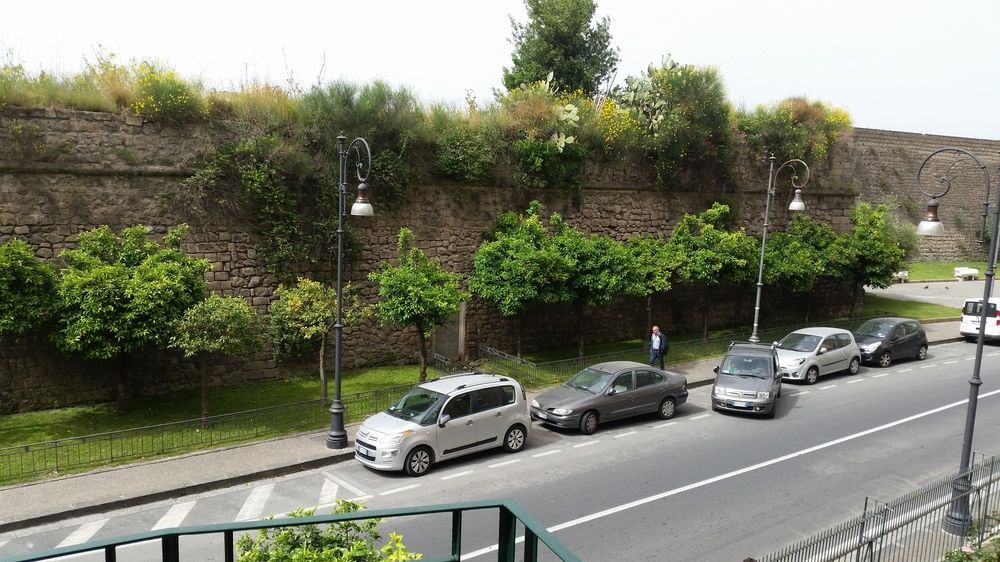 B&B Degli Aranci