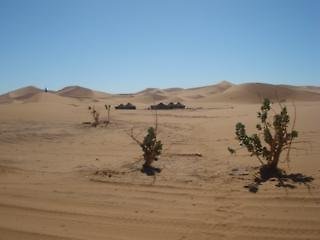 Bivouac Dunes de Chegaga