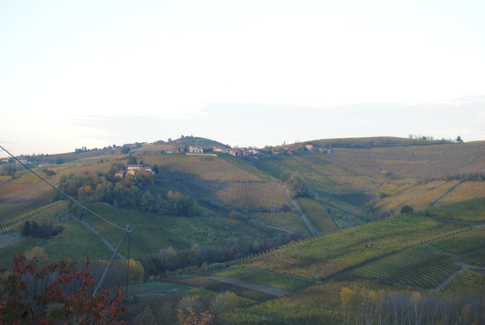I Grappoli