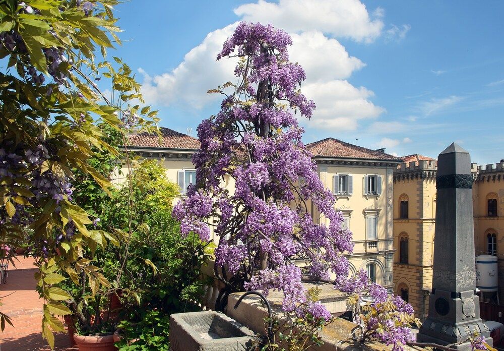 Galleria Arnaboldi