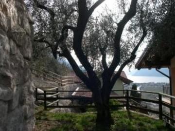 Isola Verde