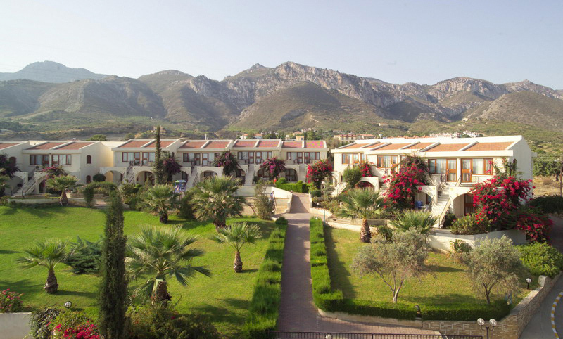 The Olive Tree Hotel