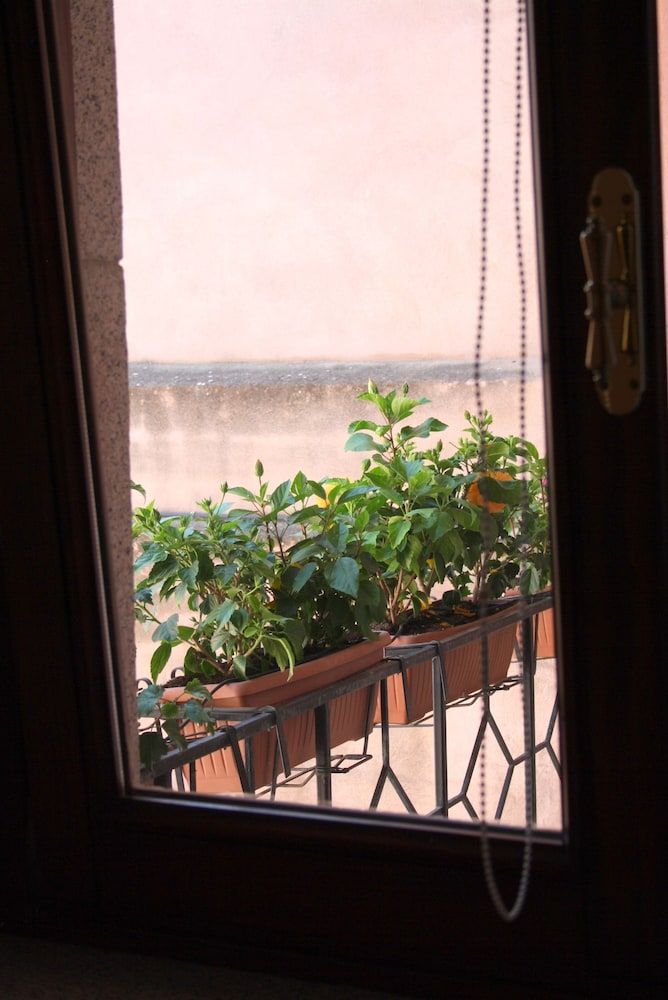 Hibiscus B&B