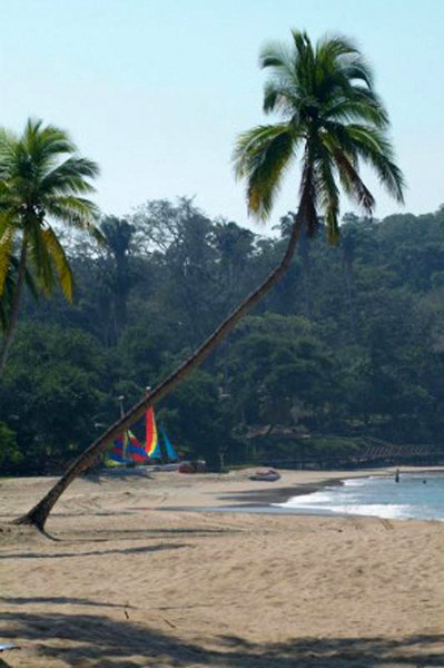 El Tamarindo Beach & Golf Resort