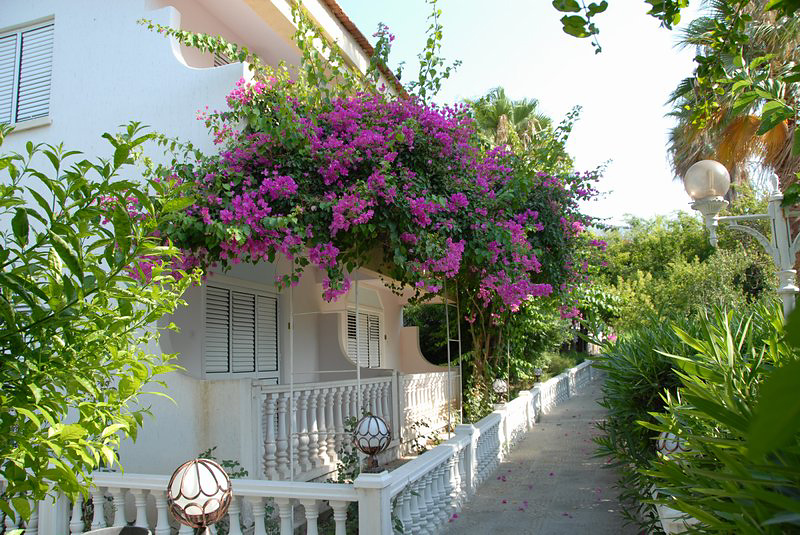 Riverside Garden Resort