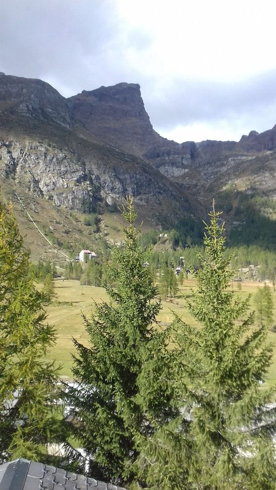 B&B Il Pino