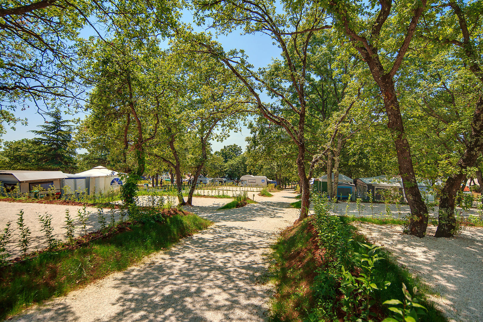 Solaris Camping Resort Rooms