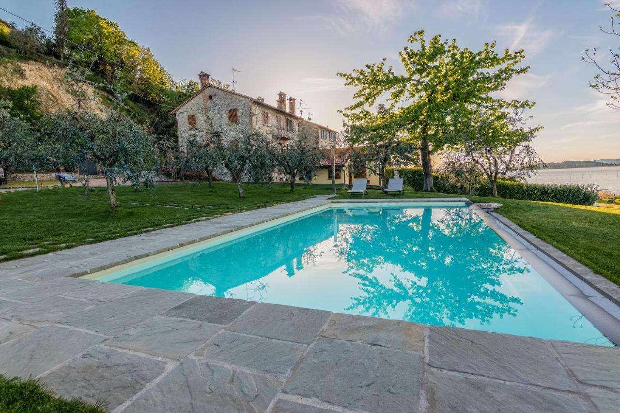 La Folaga Del Trasimeno