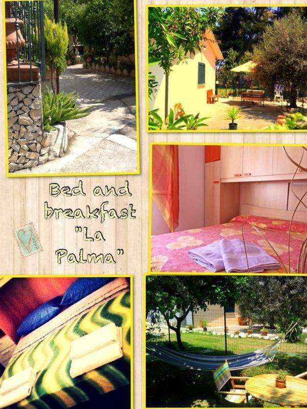 B&b La Palma