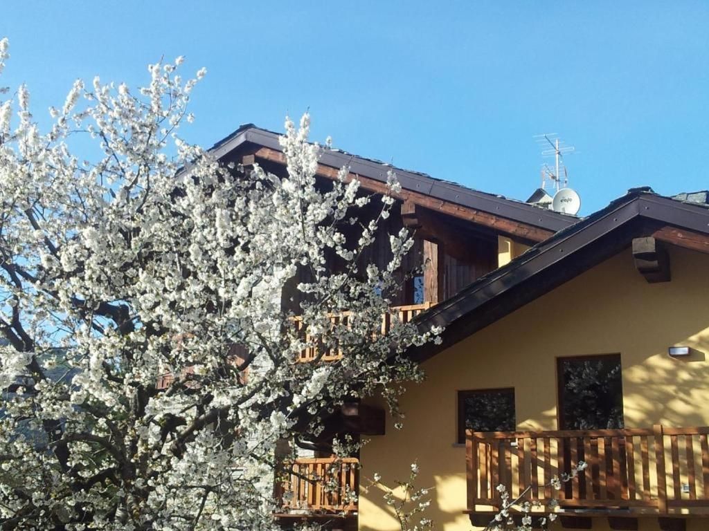 La Vigne De Papagran