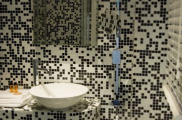 Hotel Salus