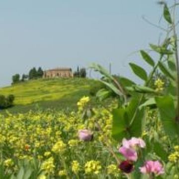 Agriturismo Bonello