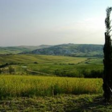 Agriturismo Bonello