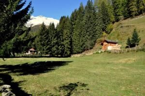 Chalet Bambi