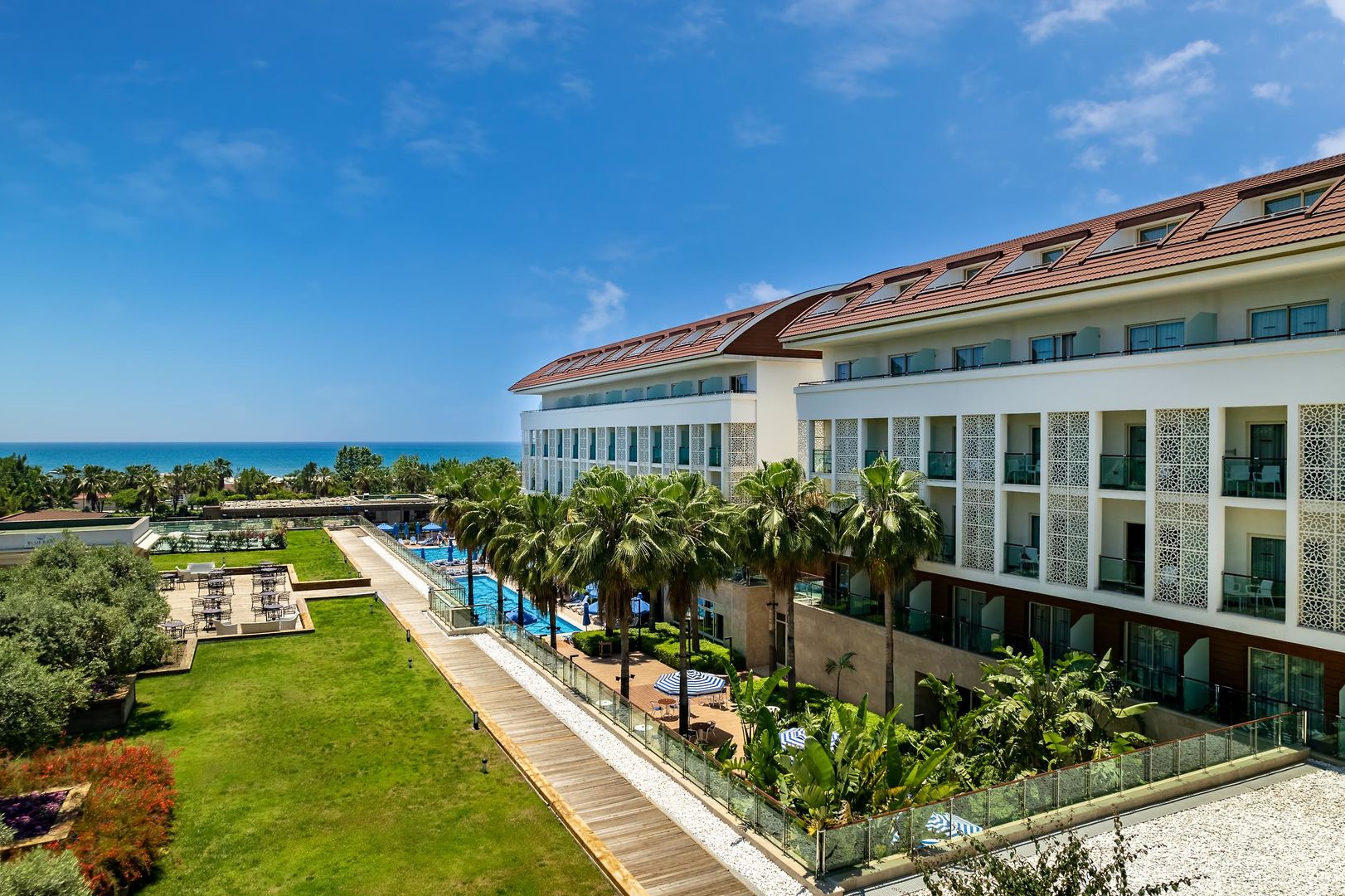 Trendy Verbena Beach