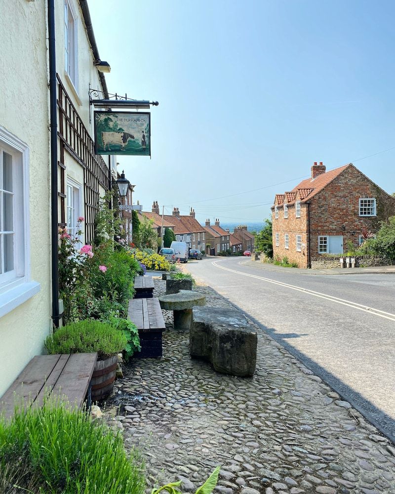 The Durham Ox