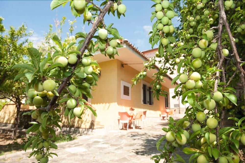 Nel Giardino Dei Limoni