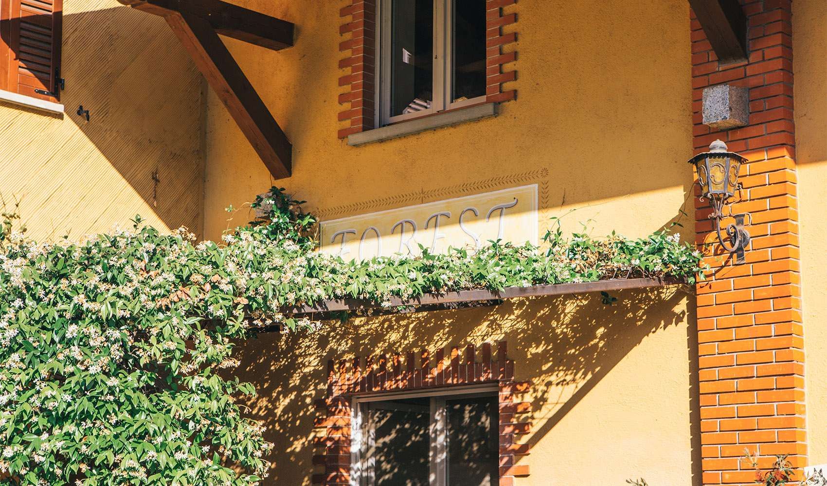 Agriturismo Forest