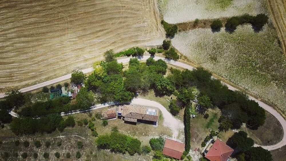Casa Sponge