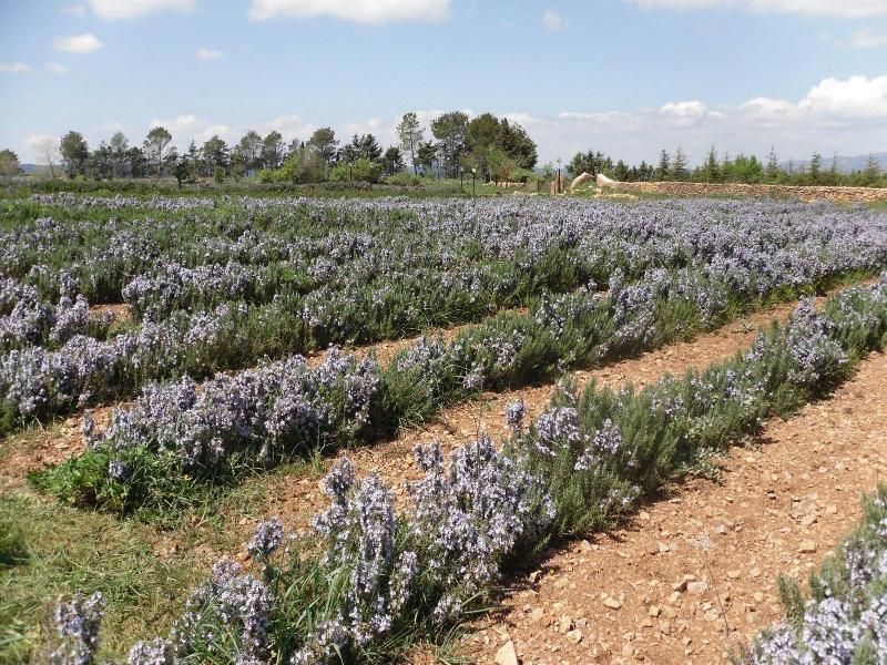 B&B Fragus E Saboris De Sardigna
