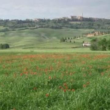 Agriturismo Il Colombaiolo