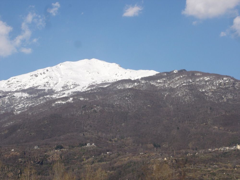 L'Albero Maestro