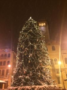 Fiocco Di Neve