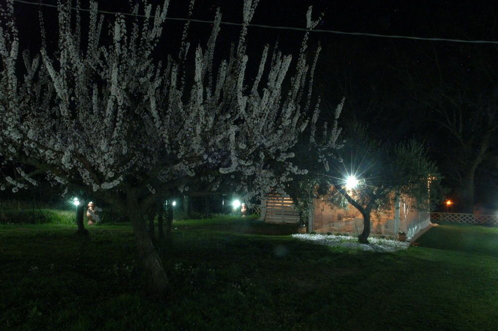 B&B Falco Bianco