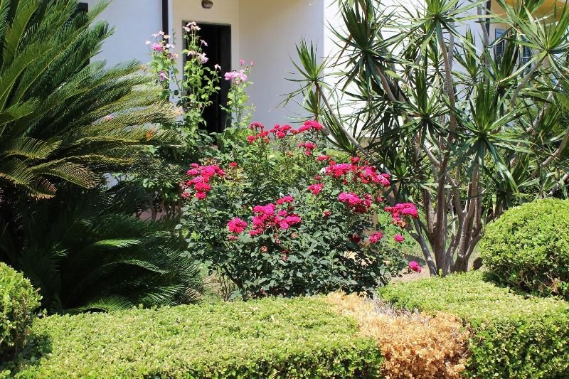 Villa Elena B&B
