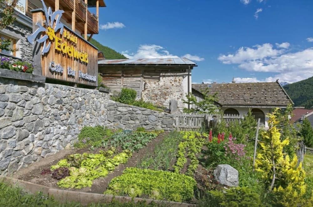 Edelweiss