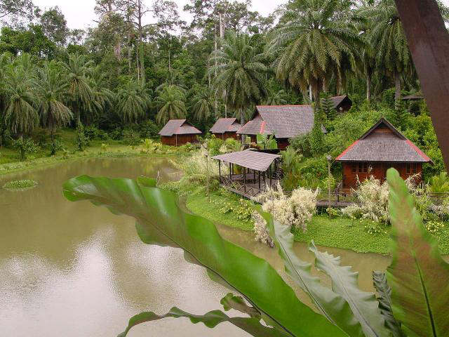 Sepilok Nature Resort