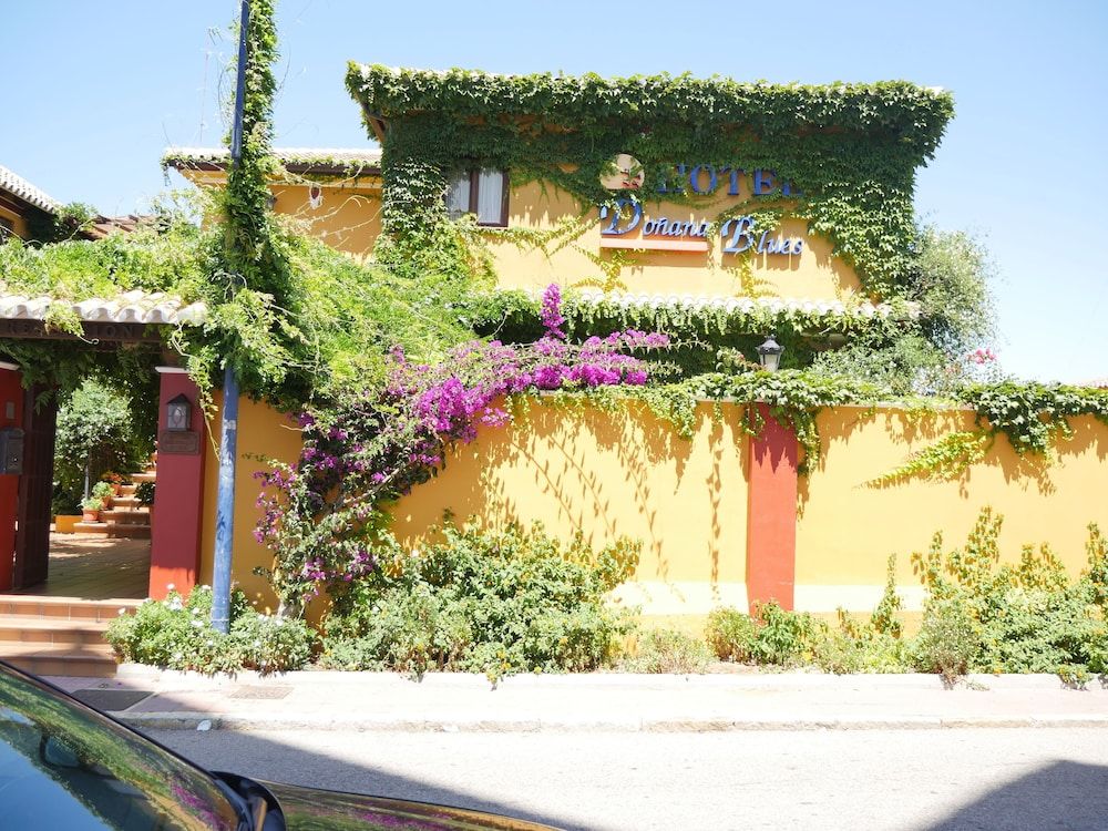 Hotel Doñana Blues