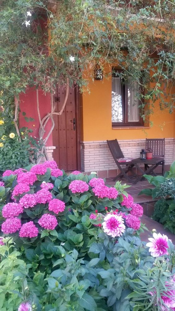 Hotel Doñana Blues