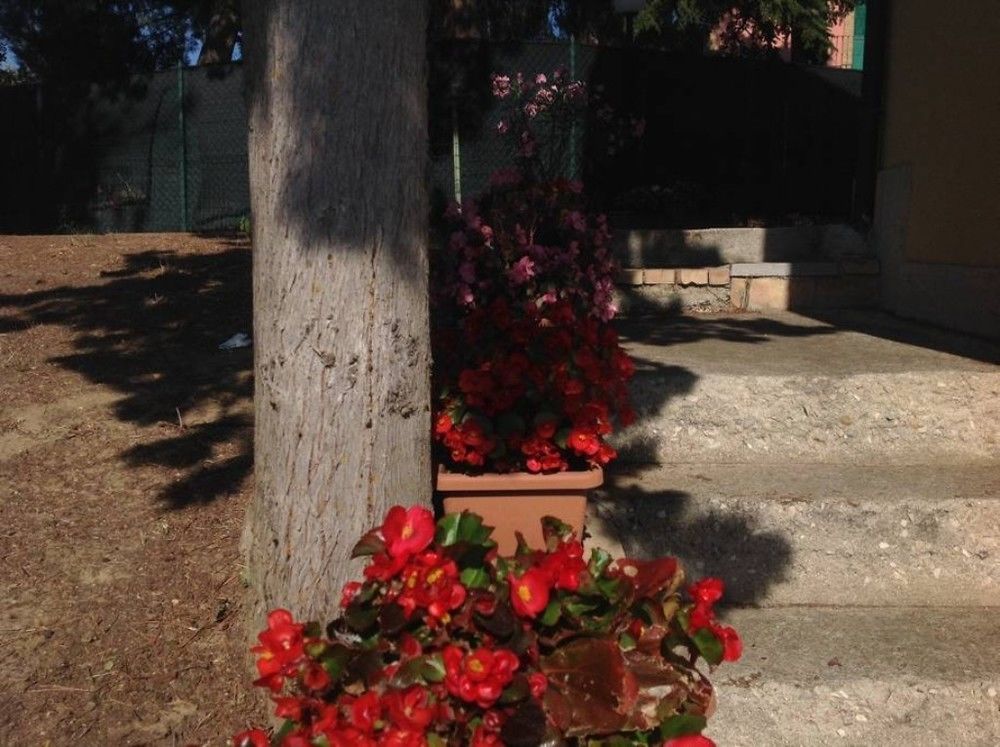 B&B La Rosa di Antonio