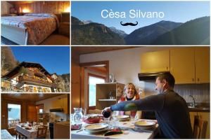 Cesa Silvano