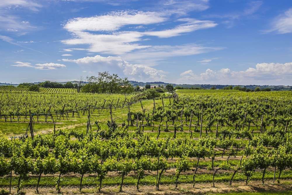 Agriturismo Trere