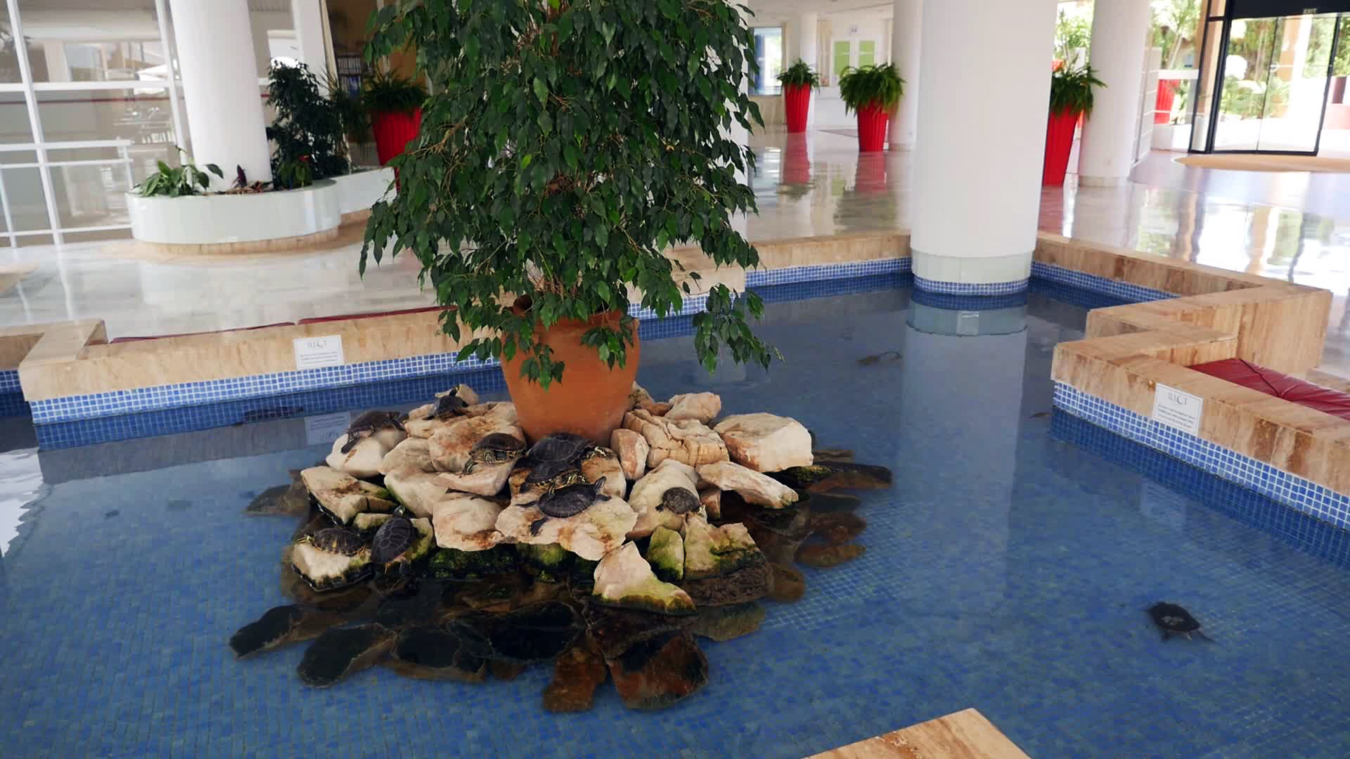 Hotel Illot Suites