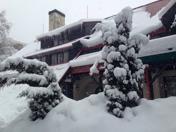 Hotel Breza