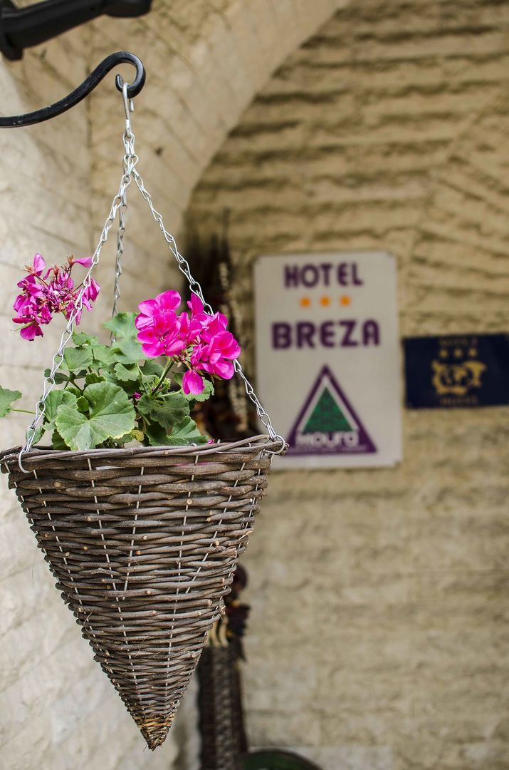 Hotel Breza