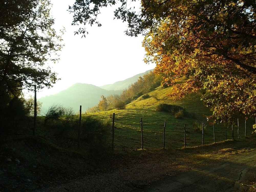 Agriturismo Orsaiola