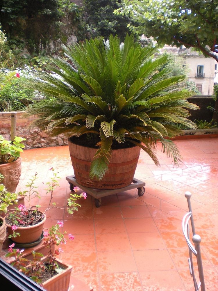 L'Argine Fiorito