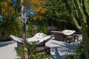 Secret Oasis