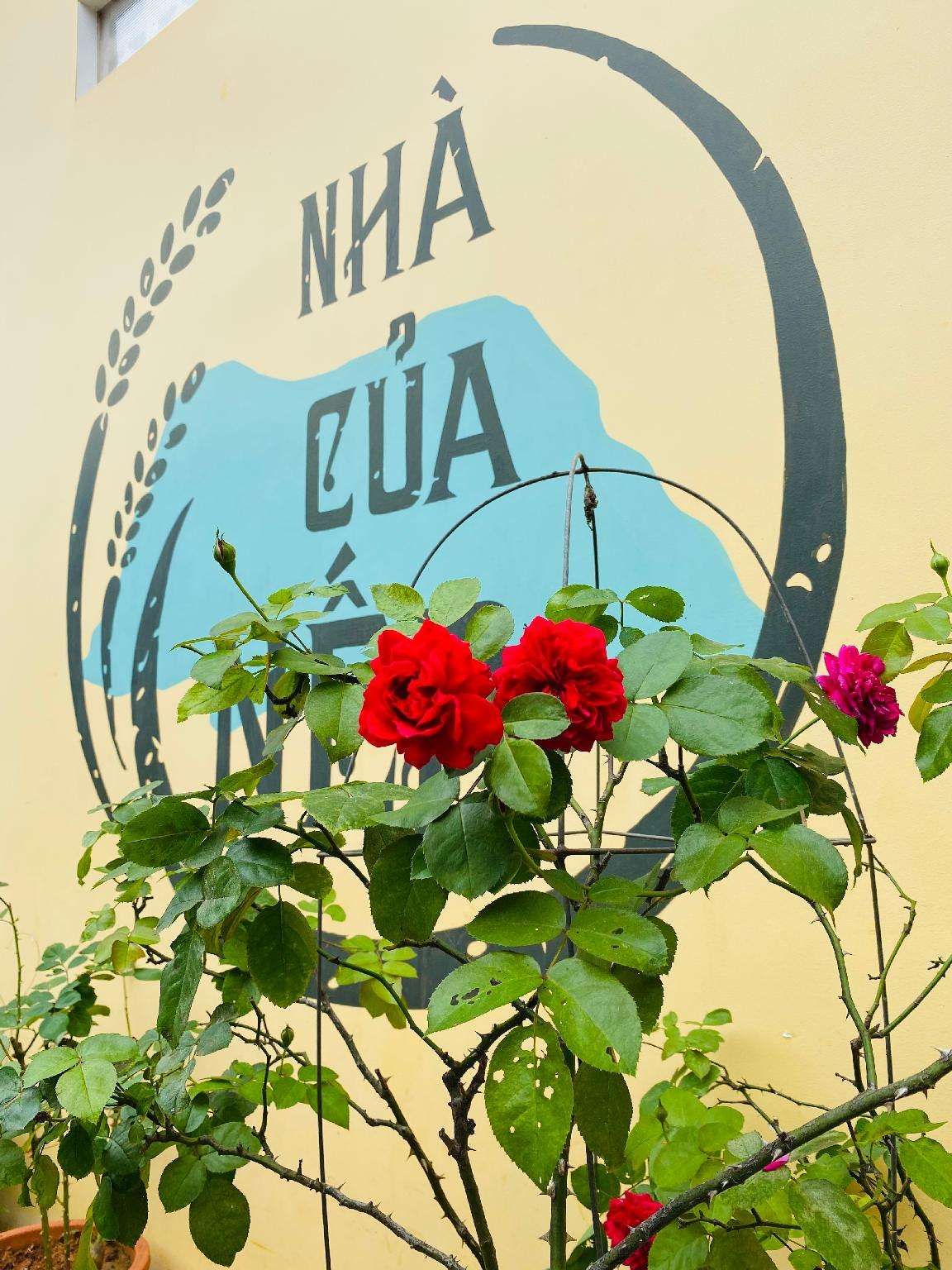 Nha Cua Nep