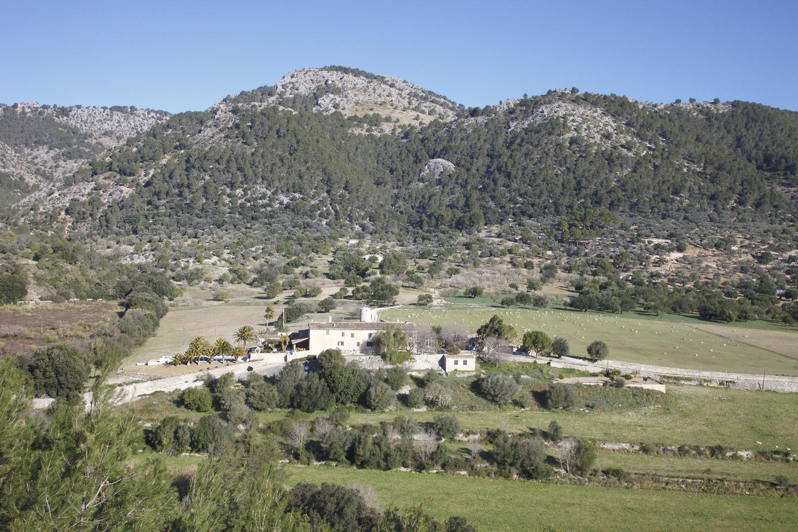 Finca Monnàber Vell